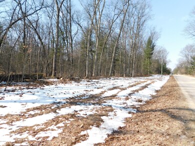 0 W Lincoln St, Brohman, MI 49312 - photo 2