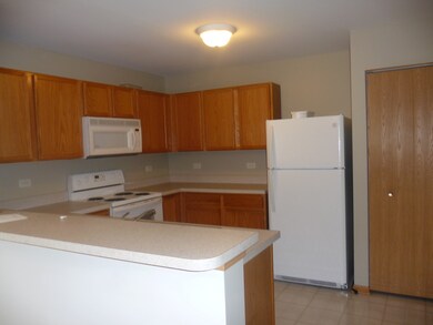 1403 Mcclure Rd unit 1403, Aurora, IL 60505 - photo 4