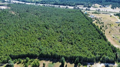 40 Acres N Old Highway 95, Athol, ID 83801 - photo 7