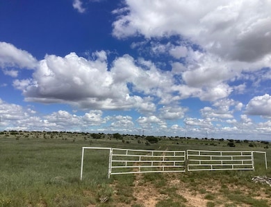 0 County Rd A052 Tract A unit 1094770, Estancia, NM 87016 - photo 3