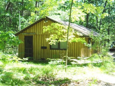 9658 S Woodbine Ave, Baldwin, MI 49304 - photo 6