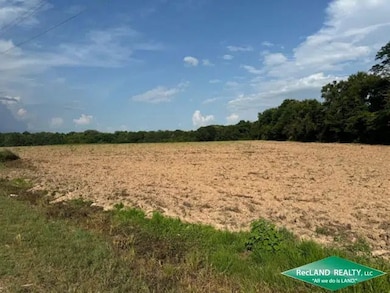 State Highway 173, Wilmot, AR 71676 - photo 7