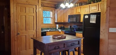 1619 Jed Tr unit 4, Sevierville, TN 37862 - photo 4