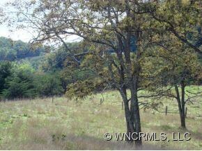 000 Moores Valley Ln, Leicester, NC 28748 - photo 5