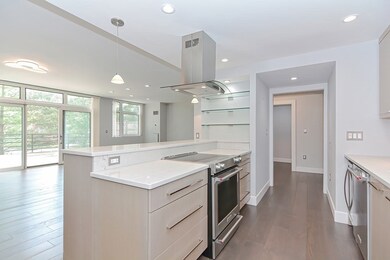 79 Florence St unit 110S, Chestnut Hill, MA 02467 - photo 6