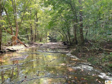 4.18 AC Cape Rd, Jamestown, KY 42629 - photo 2