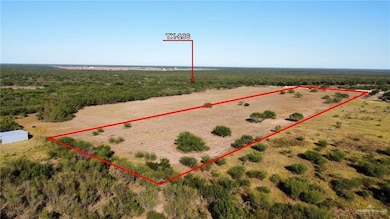 35209 Black Buck Dr, Edinburg, TX 78542 - photo 3