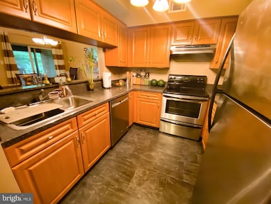 1702 Mount Washington Ct, Baltimore, MD 21209 - photo 5