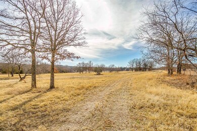 179 Falcon Dr, Weatherford, TX 76088 - photo 5