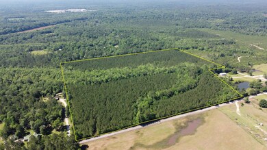 DJI_0698 - Polygon