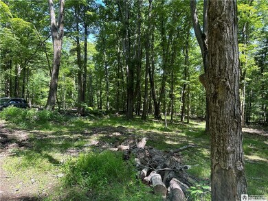 Dead trees cut down