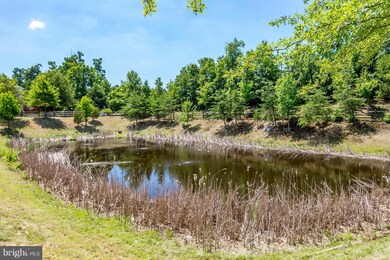 16563 Telescope Ln, Dumfries, VA 22026 - photo 5
