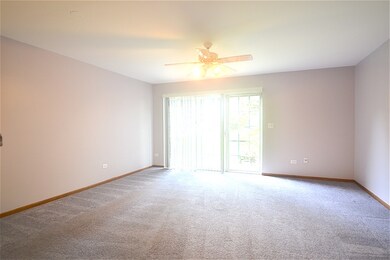 1844 Grove Ave unit 18A184, Schaumburg, IL 60193 - photo 2