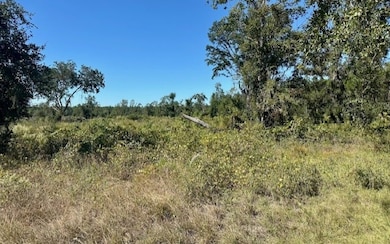 0 NE 35th Ave unit 129202, Bronson, FL 32621 - photo 7