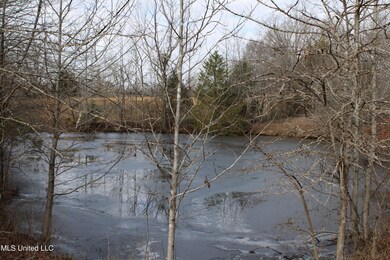 Bethel Rd Pond