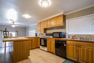 734 Wilken St, Houston, TX 77008 - photo 6