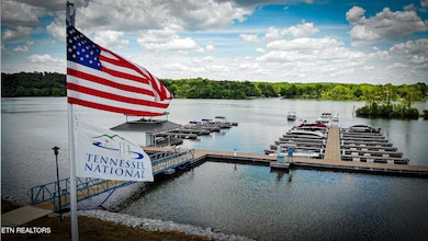 585 Black Cove Ln, Loudon, TN 37774 - photo 5