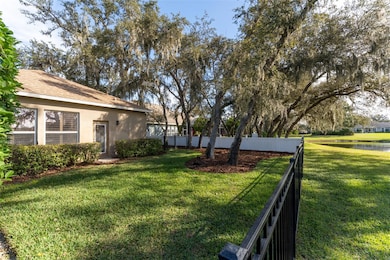 15015 Eaglerise Dr, Lithia, FL 33547 - photo 5