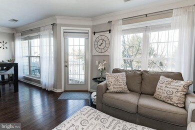 46880 Clarion Terrace unit 200, Sterling, VA 20164 - photo 5