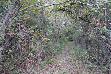 ATV trails throughout the property!