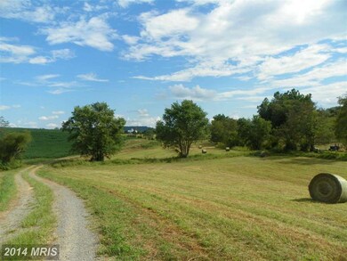 403 Ft Valley Rd, Sperryville, VA 22740 - photo 6