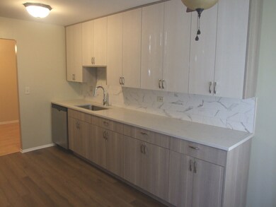 2710 Northampton Dr unit D1, Rolling Meadows, IL 60008 - photo 4