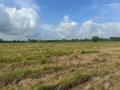 0 Cr 3114 unit 262737, Buna, TX 77612 - photo 3