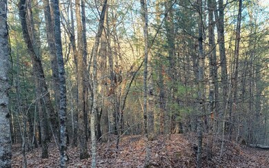 Additional View