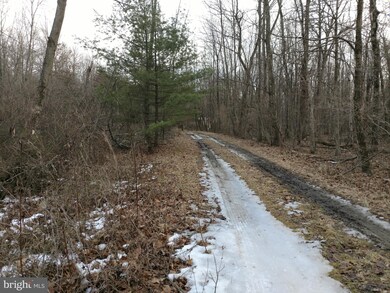 102 Kleintop Ln, Wind Gap, PA 18091 - photo 4