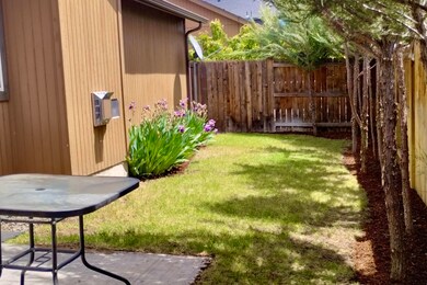 Aldrich rear yard1