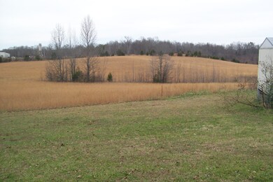 1989 Copenhaver Rd, Rock Island, TN 38581 - photo 4