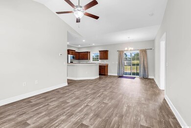 6384 Highway 378, Conway, SC 29527 - photo 3