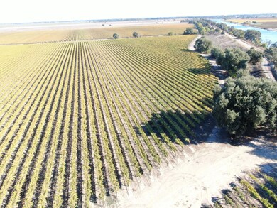 50725 Babel Slough Rd, Clarksburg, CA 95612 - photo 6