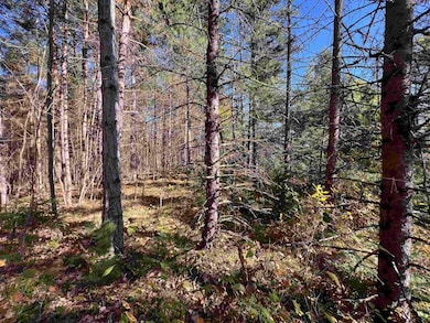 0 Cole School Rd, Beecher, WI 54156 - photo 3