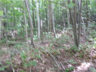 1099 Gibbs Rd, Newport, VT 05857 - photo 3