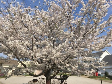 108 Medinah Ct, Frankfort, KY 40601 - photo 4