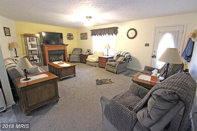 571 Brush Leaf Ln, Mount Jackson, VA 22842 - photo 5