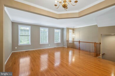 3333 Beechcliff Dr, Alexandria, VA 22306 - photo 6