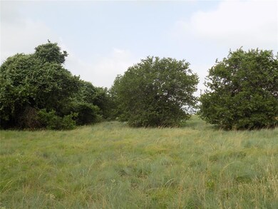 450 Big Salty Dr, Springtown, TX 76082 - photo 6