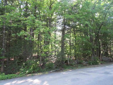 0 Algonquin unit 4696862, Bridgton, ME 04009 - photo 5