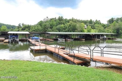 302 Caney View (W Dock) Dr, Harriman, TN 37748 - photo 6