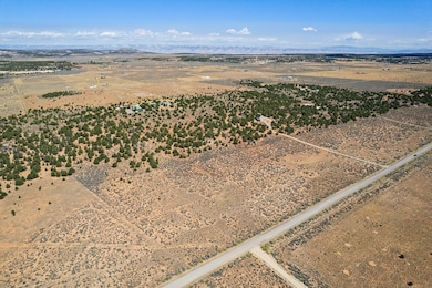 14726 Sage Brush Ln, Glade Park, CO 81523 - photo 7