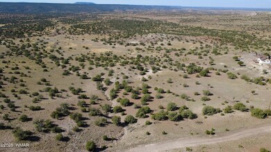 41 Indian Dr, Concho, AZ 85924 - photo 7