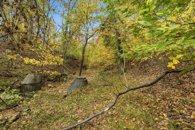 12_335_wallace_dr_sony_003