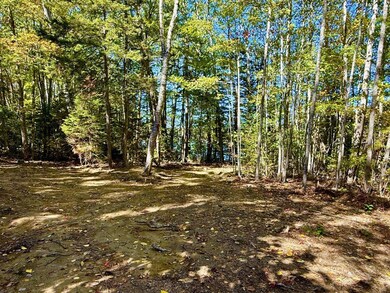 Lot 14a West Shore Rd, Sorrento, ME 04677 - photo 5