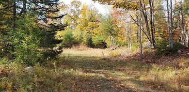 1195 Route 16 unit 1185,1195,1205,1215, Ossipee, NH 03864 - photo 6