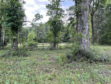 62 Appaloosa Rd, Crawfordville, FL 32327 - photo 6