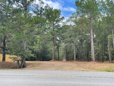 0 Hwy 45 unit 25024847, Cross, SC 29436 - photo 2