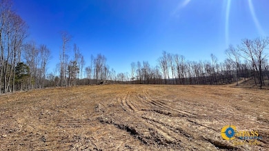 0 Highway 438 unit 25510456, Centerville, TN 37033 - photo 3