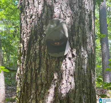 0 Fleming Rd unit 1 21425670, Vincent, AL 35178 - photo 4